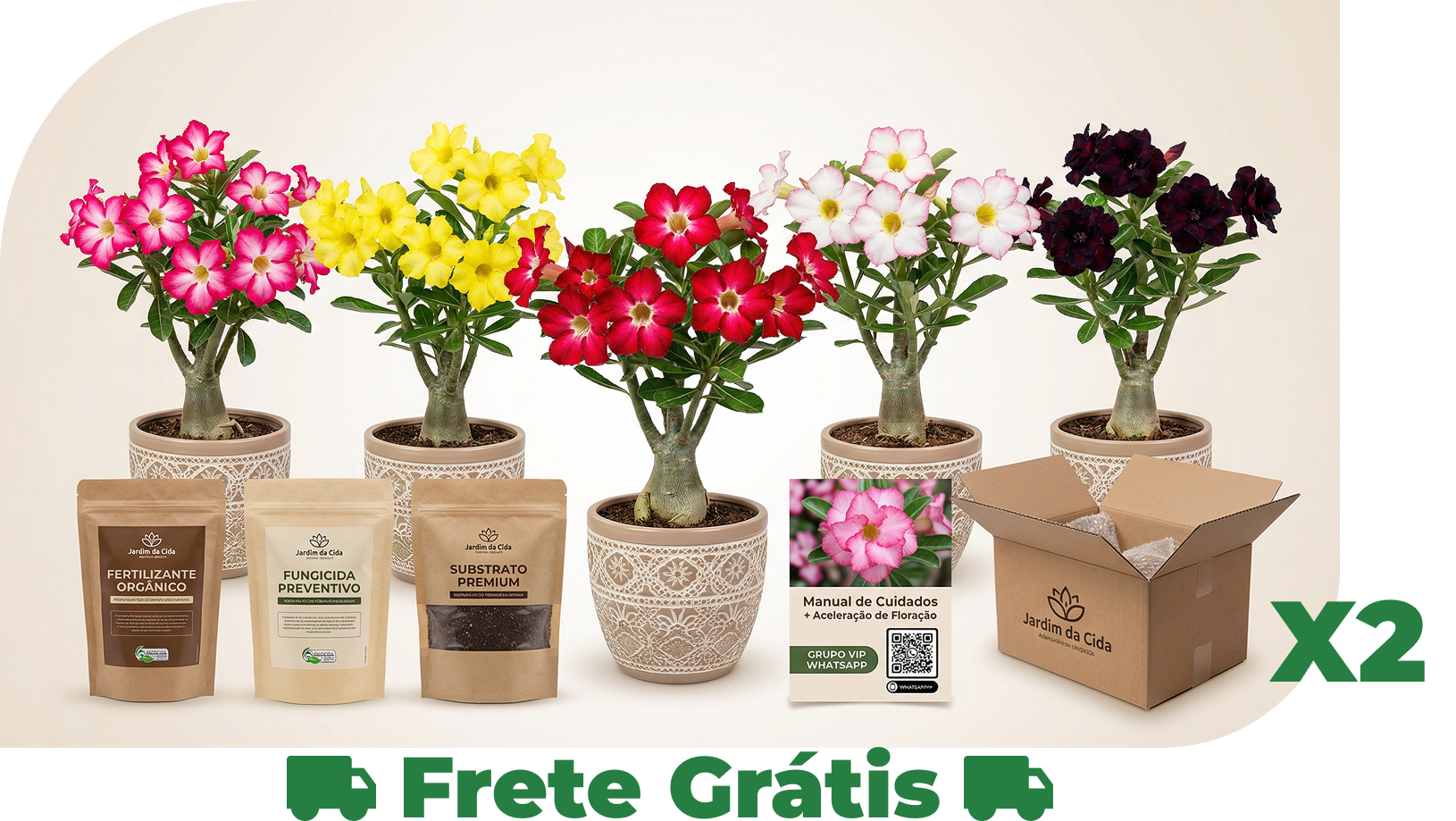 Kit Coleção 5 Cores Raras