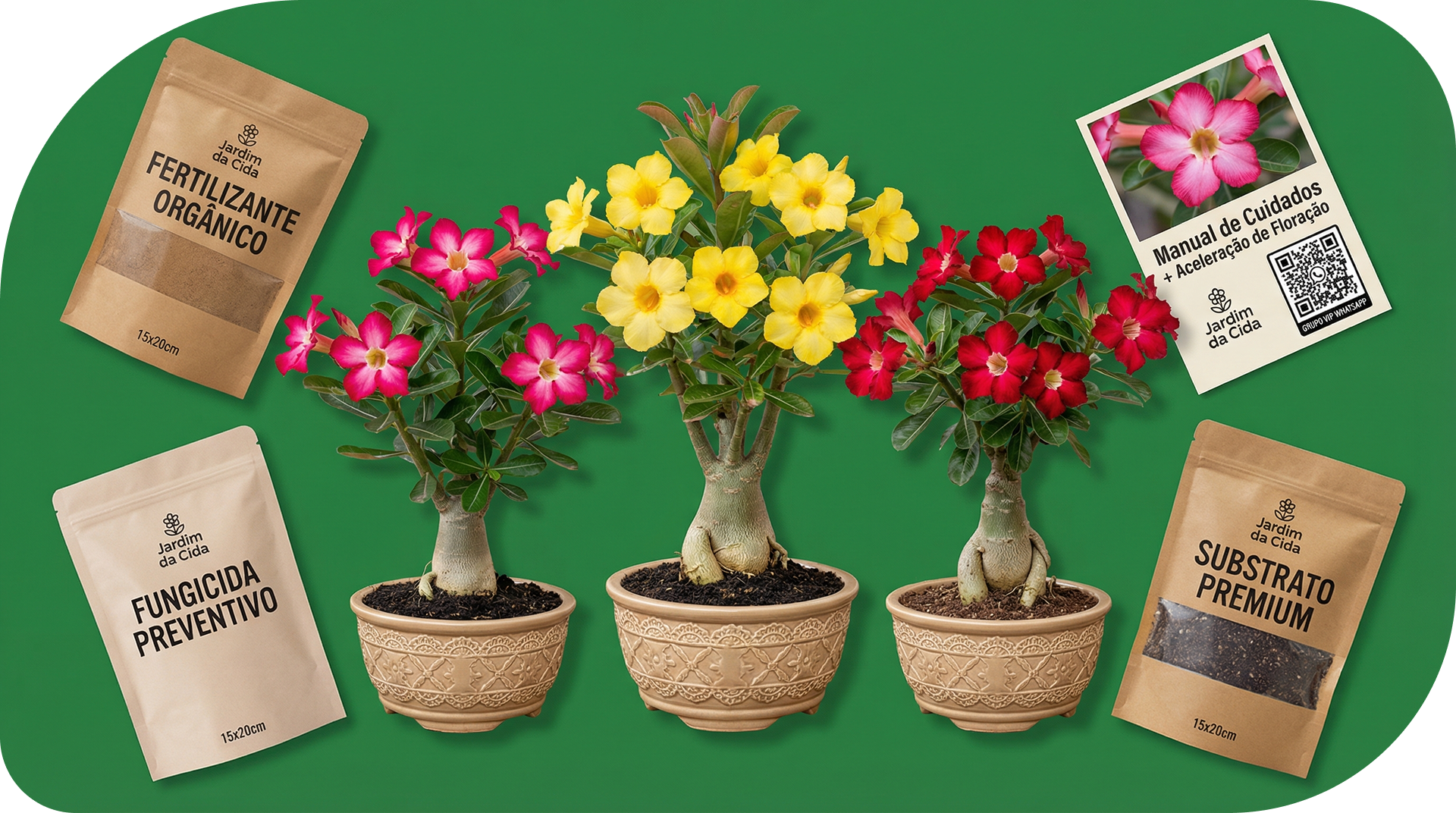 Kit Completo de Rosas do Deserto Adultas